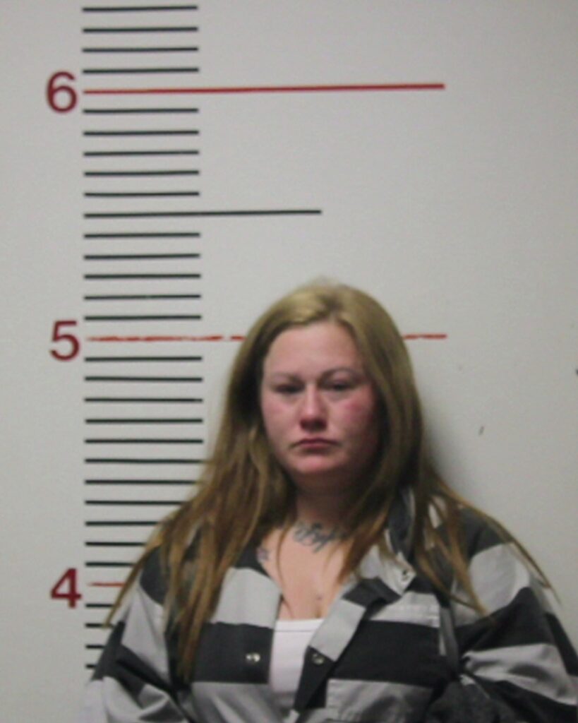 MARKWELL, GYPSY MARIE arrested in Anderson County, Texas mugshot