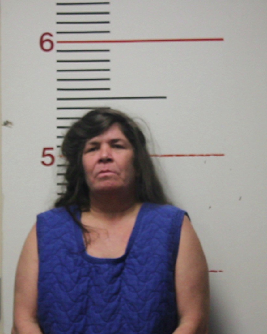 DAVIS, PAMELA DENISE booking photo