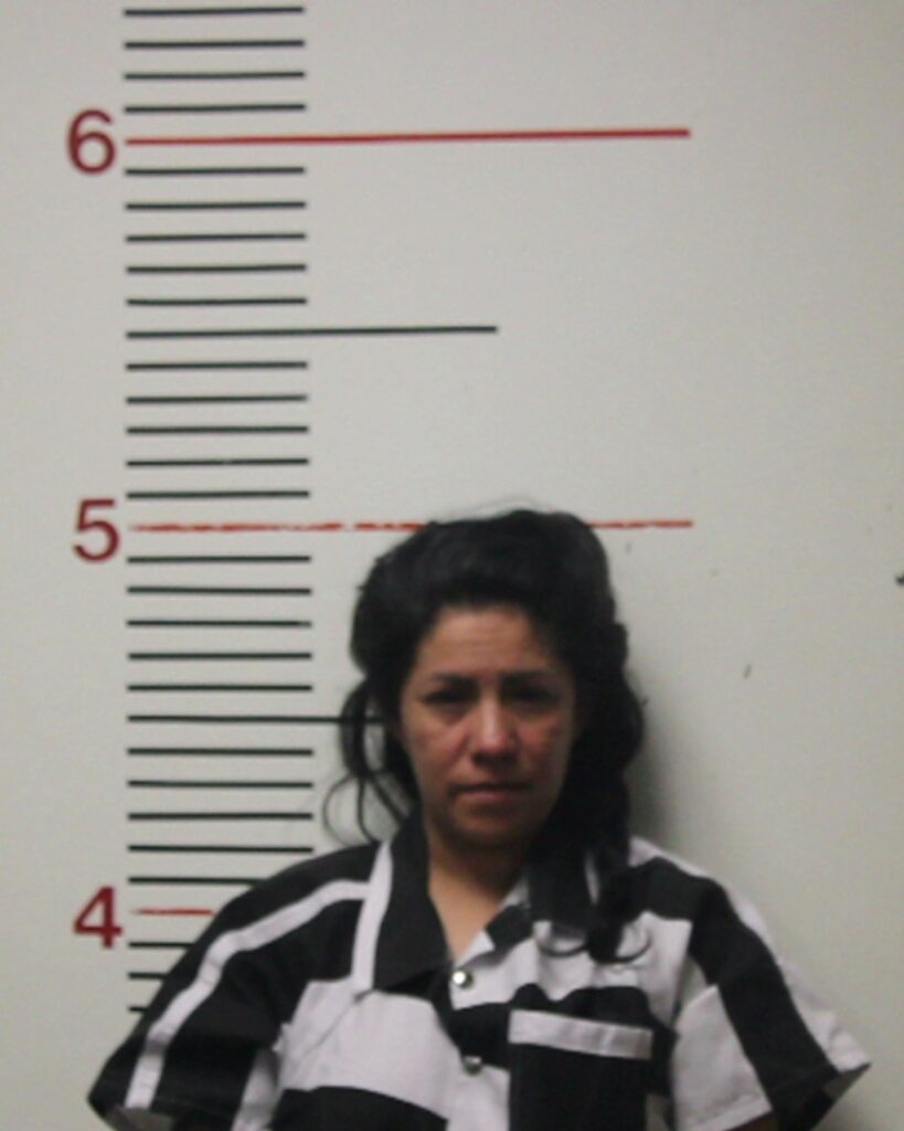 TODD, ALBERTINA arrest record in Anderson County, Texas TODD, ALBERTINA arrested in Anderson County, Texas mugshot