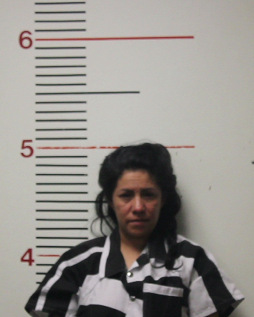 TODD, ALBERTINA booking photo