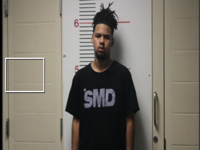 PRIEHS, CAMRON LEE booking photo