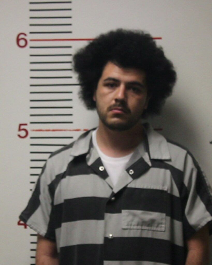 GAOUPU, SATINI LAWRENCE arrested in Anderson County, Texas mugshot