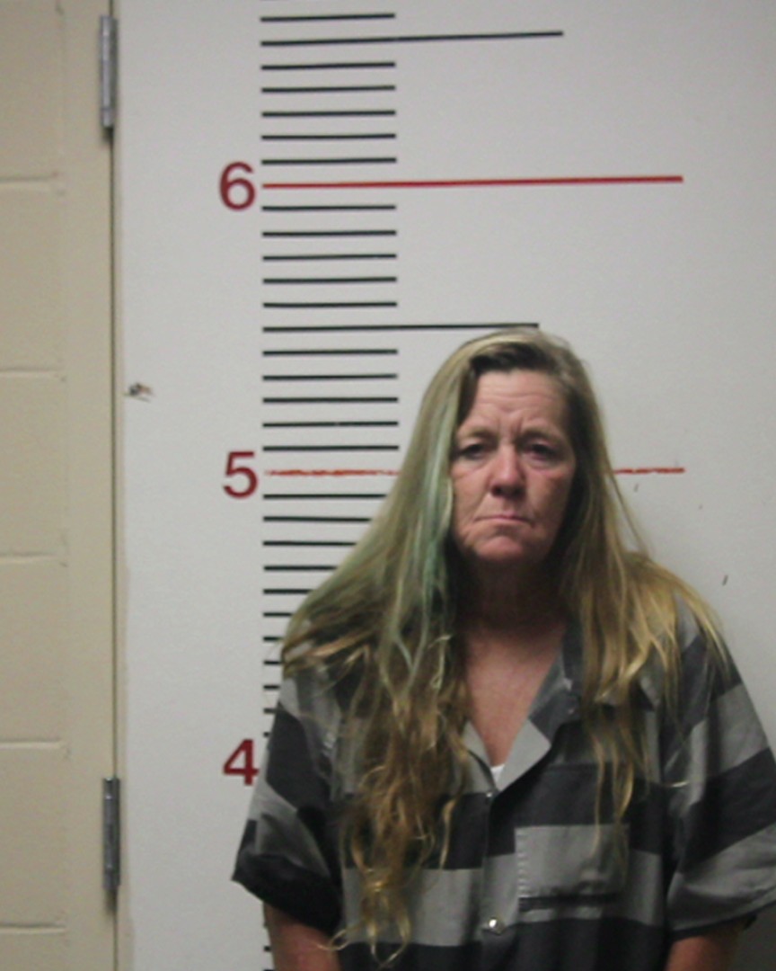 LARSON, CANDY LEIGH booking photo