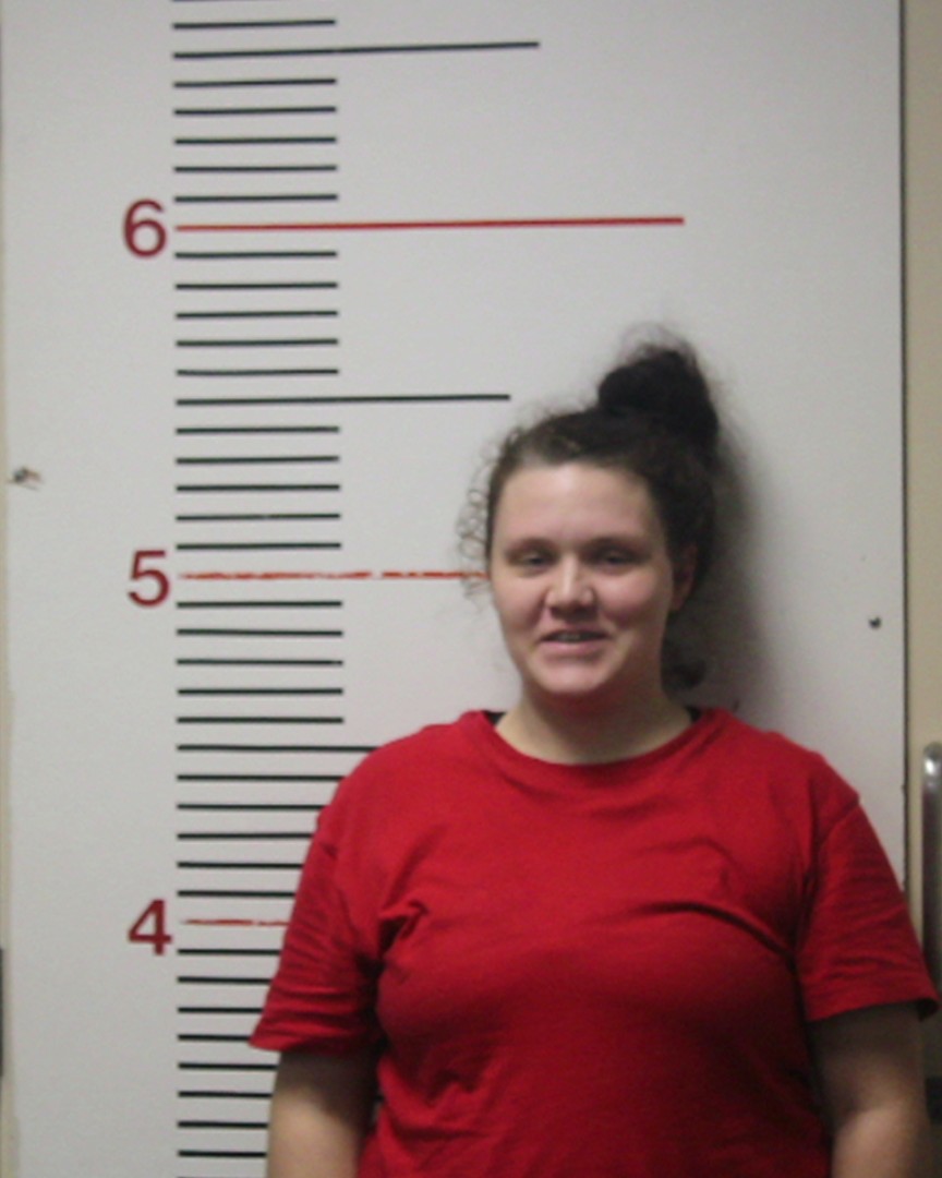 CLEMONS, NICOLE LEIGH booking photo