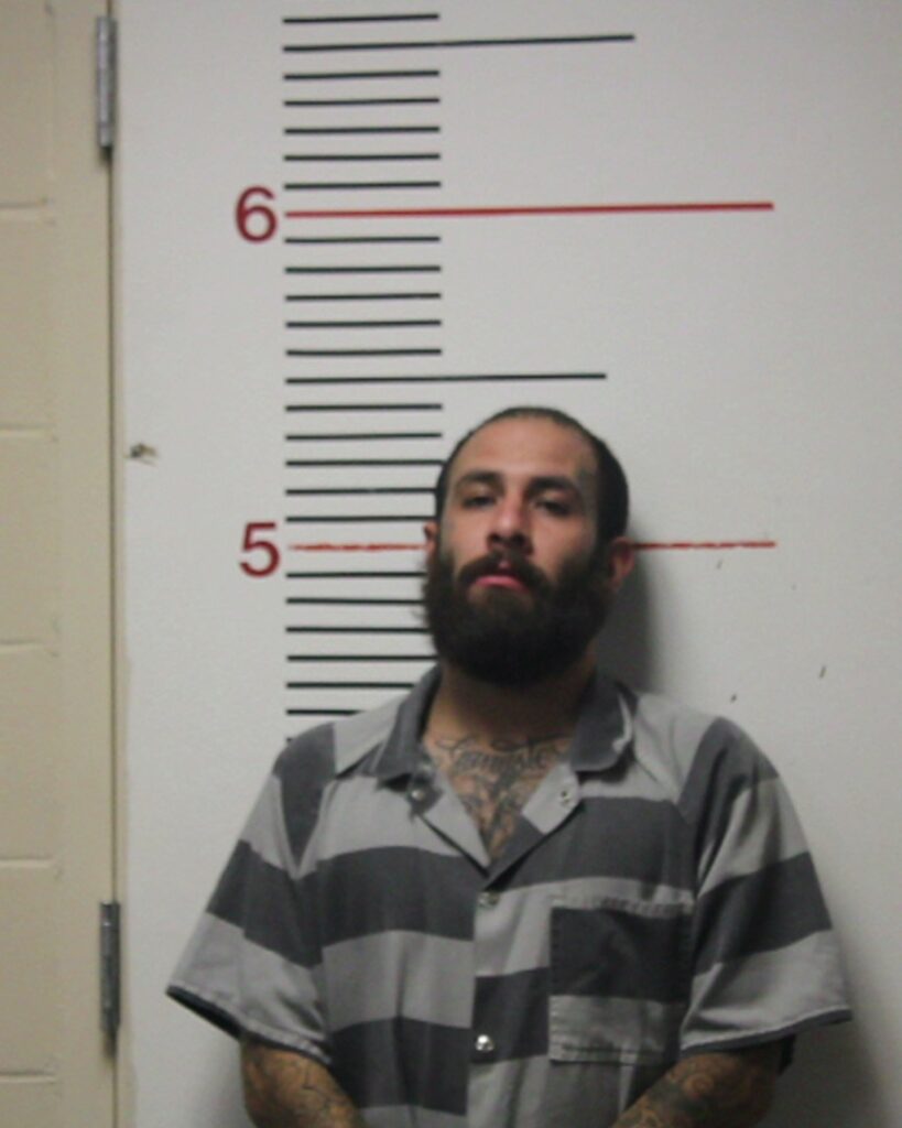ALEMAN, DANIEL EDWARD, Jr. arrested in Anderson County, Texas mugshot