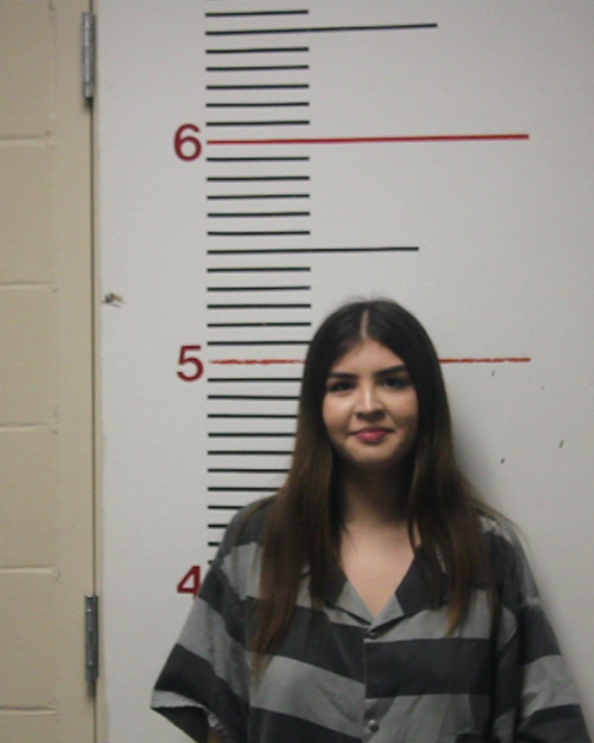 ZAMORA, DULCE AMPARO booking photo