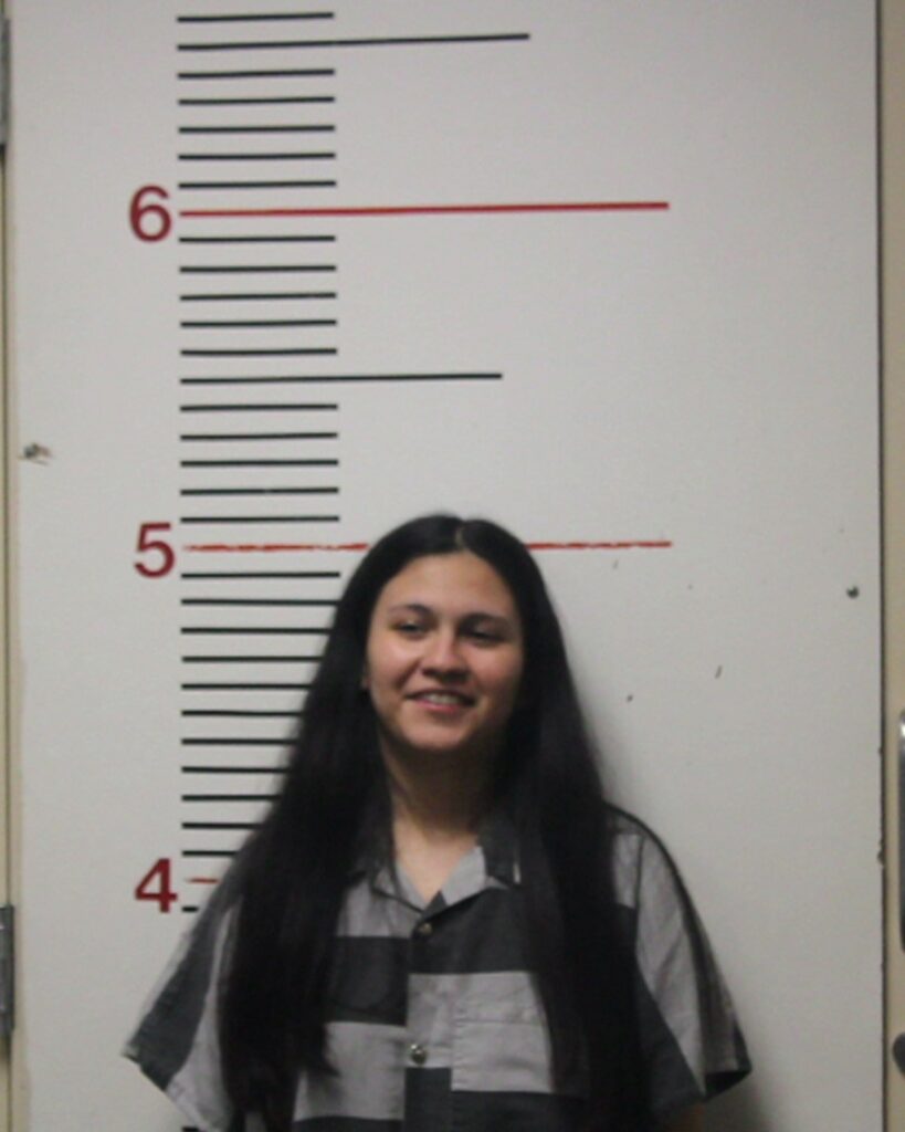 FUENTES, MELISSA ANN arrested in Anderson County, Texas mugshot