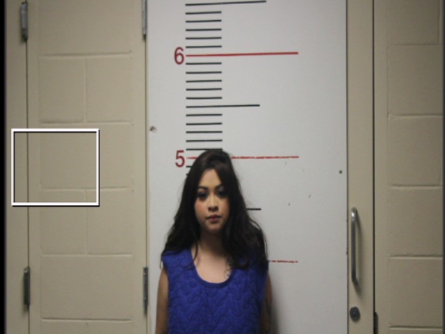 ZAMORA, ALYSSA booking photo