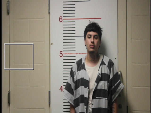 SALINAS, DAMIEN OMAR booking photo