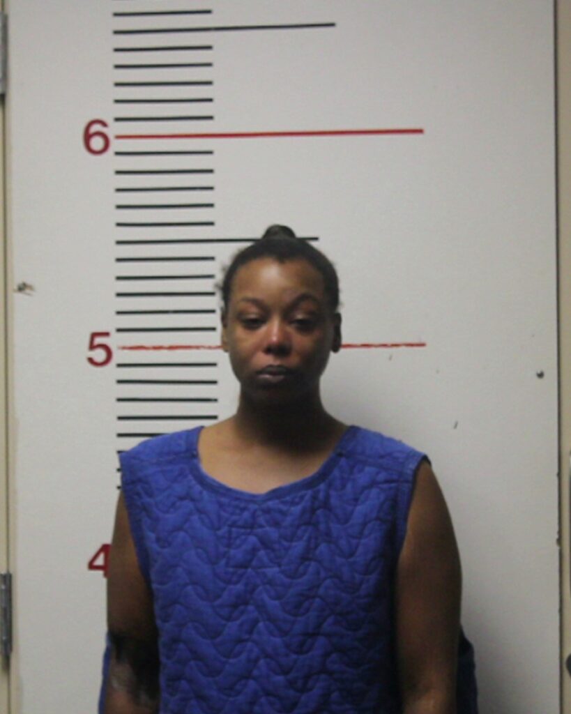 NAYS, JOLANA RONETTE arrest record in Anderson County, Texas NAYS, JOLANA RONETTE arrested in Anderson County, Texas mugshot