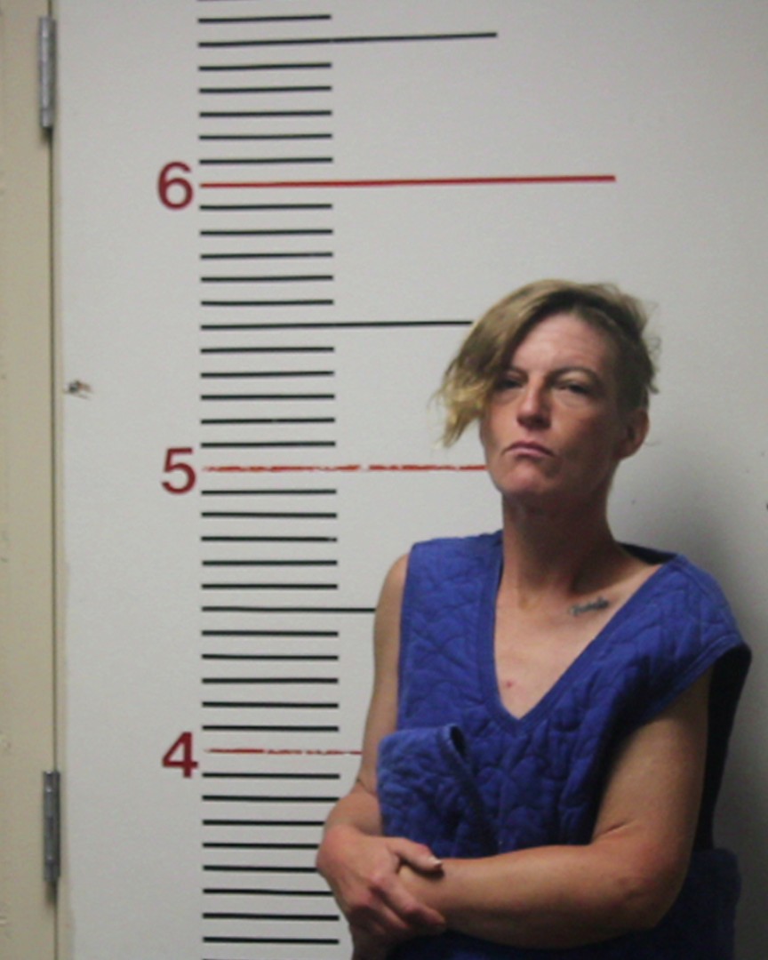 PAROLINI, ASHLEY MICHELE booking photo