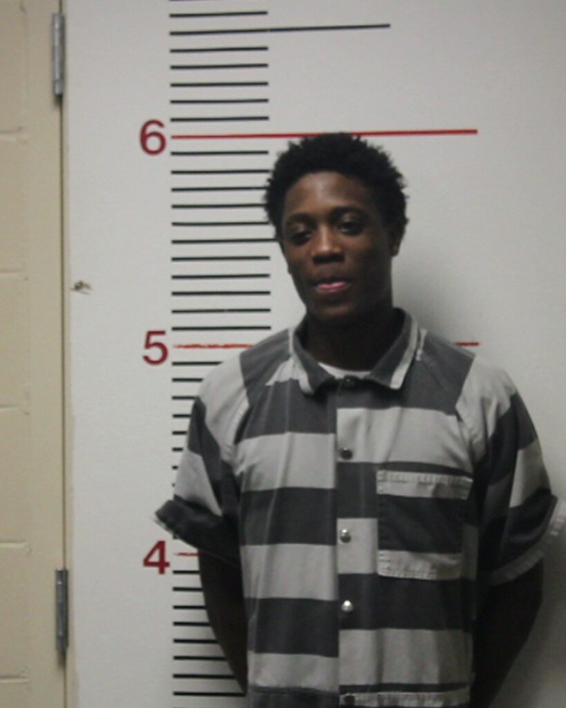 LEWIS, JAMON DAYLEON arrest record in Anderson County, Texas LEWIS, JAMON DAYLEON arrested in Anderson County, Texas mugshot