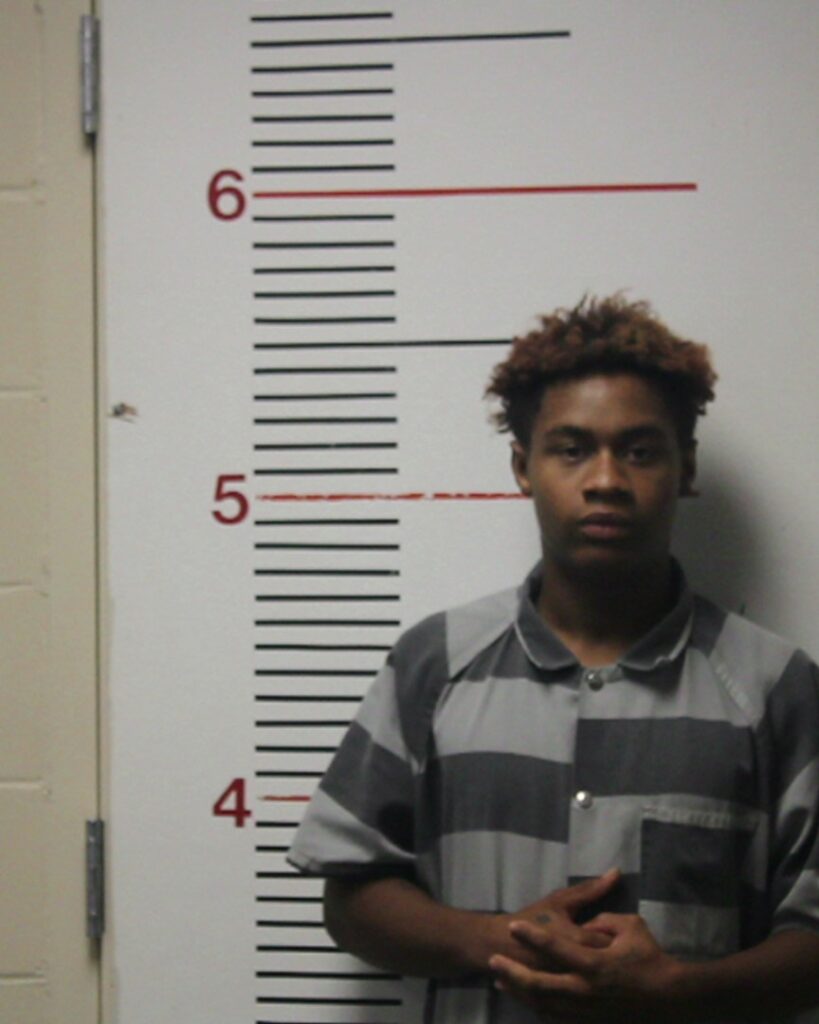 BRUMMETT, ELIJAH JAYSEAN arrest record in Anderson County, Texas BRUMMETT, ELIJAH JAYSEAN arrested in Anderson County, Texas mugshot