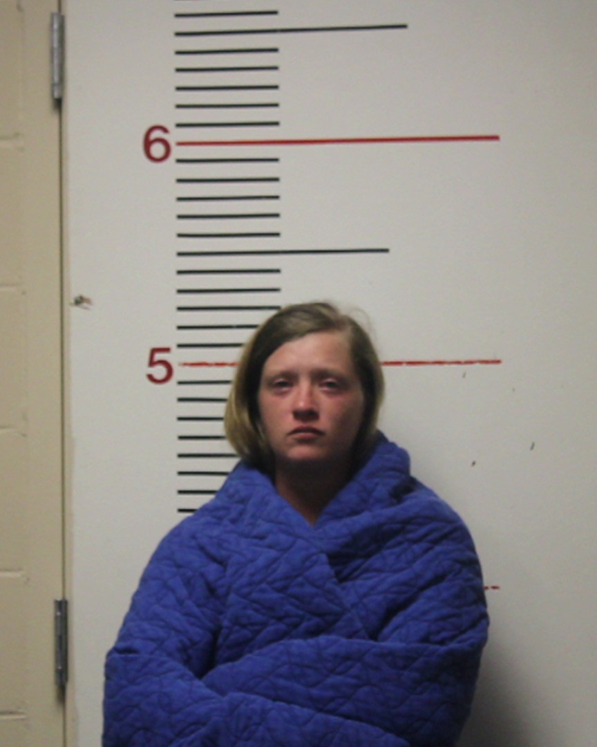 JENKINS, LEI DEE HOPE booking photo