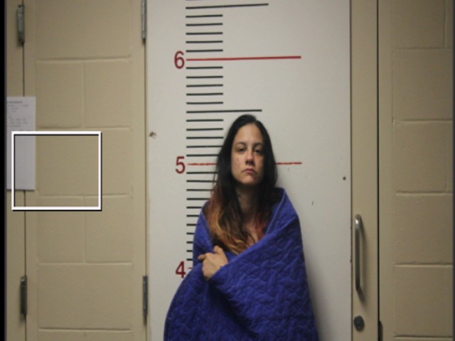 JONES, VALERIE ROSE booking photo
