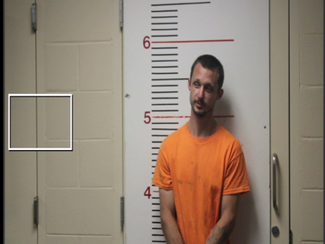 SANDERS, DONNIELEE booking photo