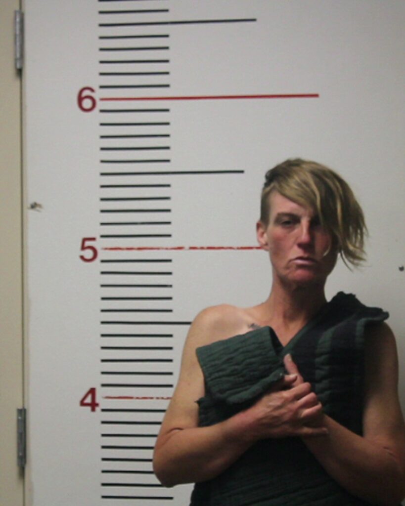 PAROLINI, ASHLEY MICHELE arrest record in Anderson County, Texas PAROLINI, ASHLEY MICHELE arrested in Anderson County, Texas mugshot