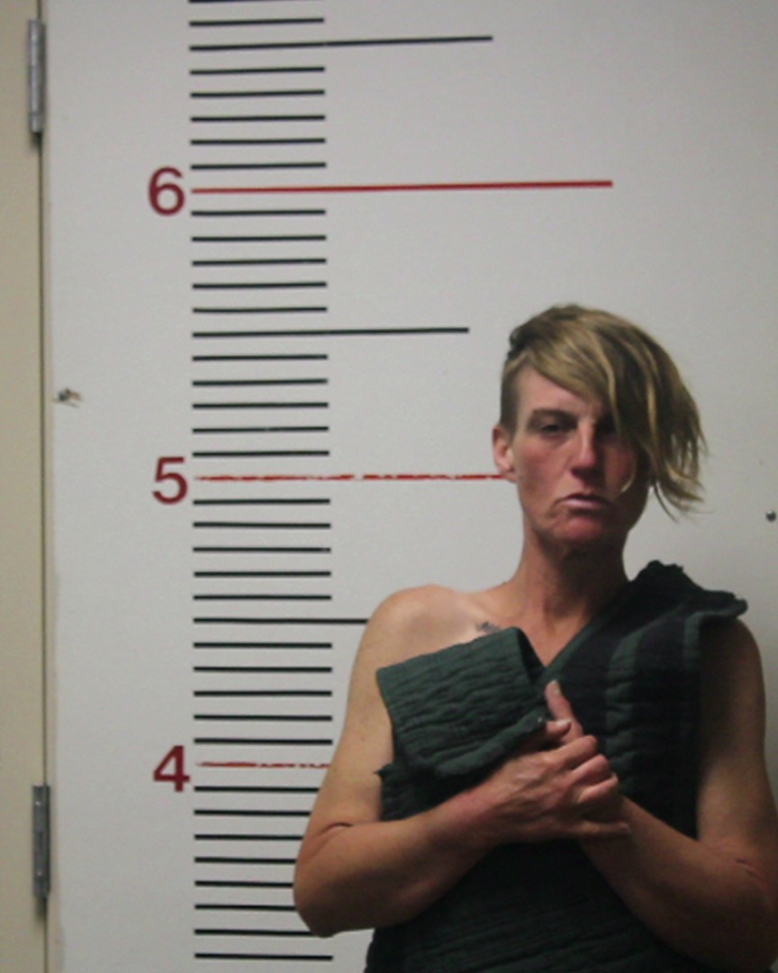 PAROLINI, ASHLEY MICHELE booking photo