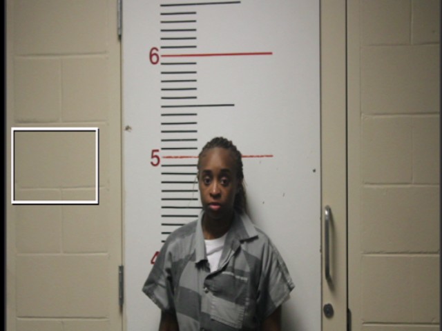 WILSON, CHRISTINA booking photo