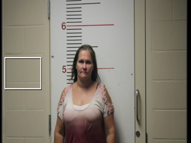 TEED, CHRISTINA MARIE booking photo