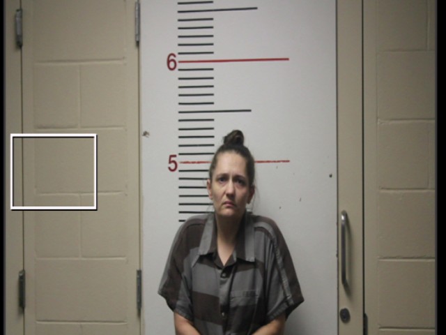 PAQUETTE, SANYA LEE booking photo