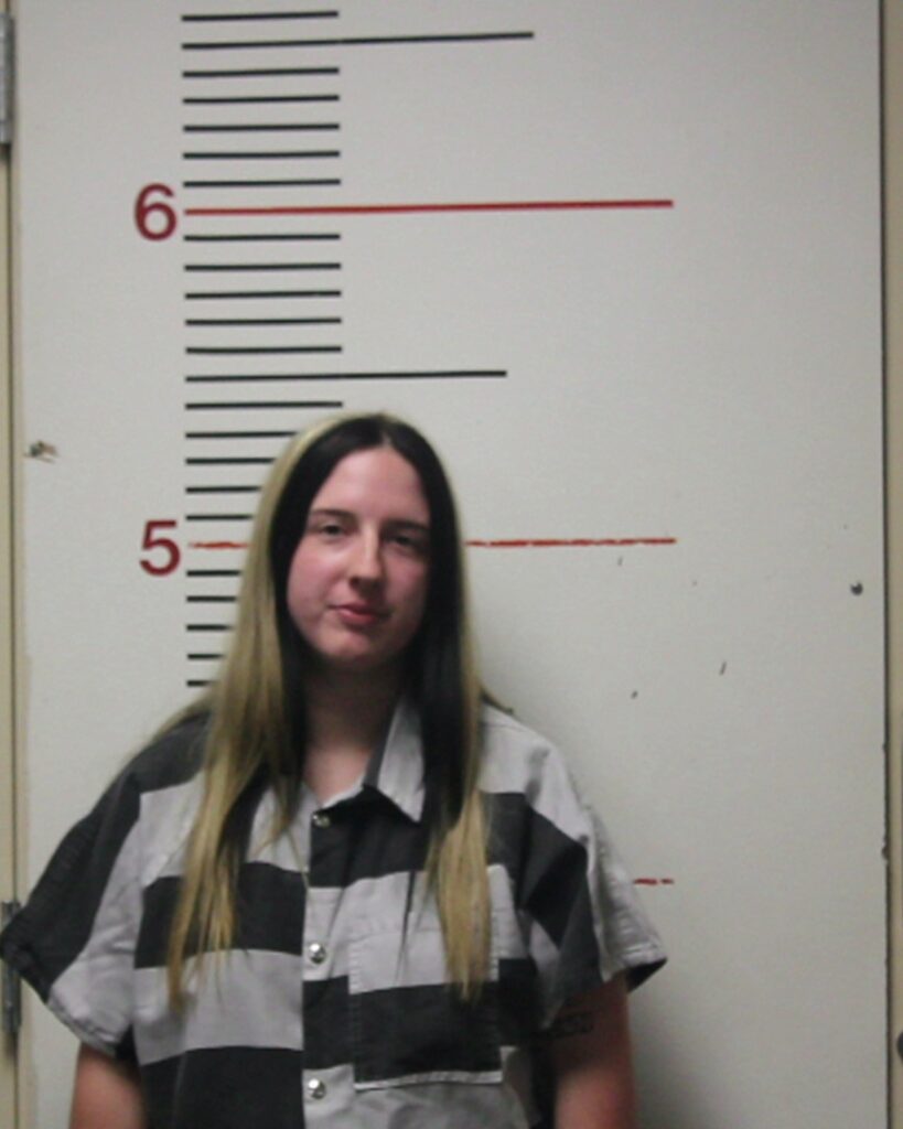 CAVETT, MADISON LEIGH arrest record in Anderson County, Texas CAVETT, MADISON LEIGH arrested in Anderson County, Texas mugshot