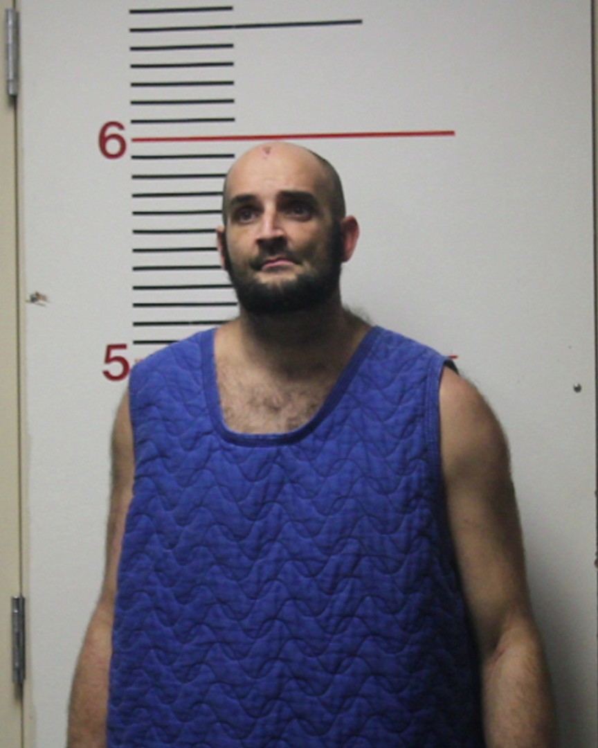 BOWMAN, TOMMY HULITE booking photo