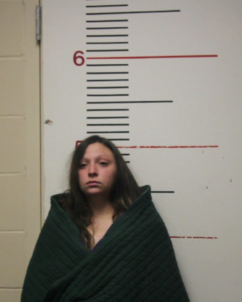 LARA, ALEXANDRIA GRACE arrest record in Anderson County, Texas LARA, ALEXANDRIA GRACE arrested in Anderson County, Texas mugshot