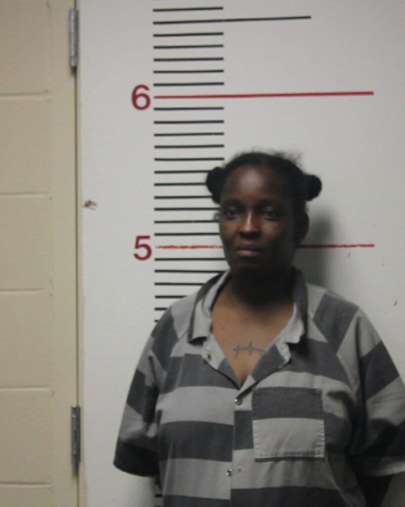 WALKER, TIFFANY DAWN arrested in Anderson County, Texas mugshot
