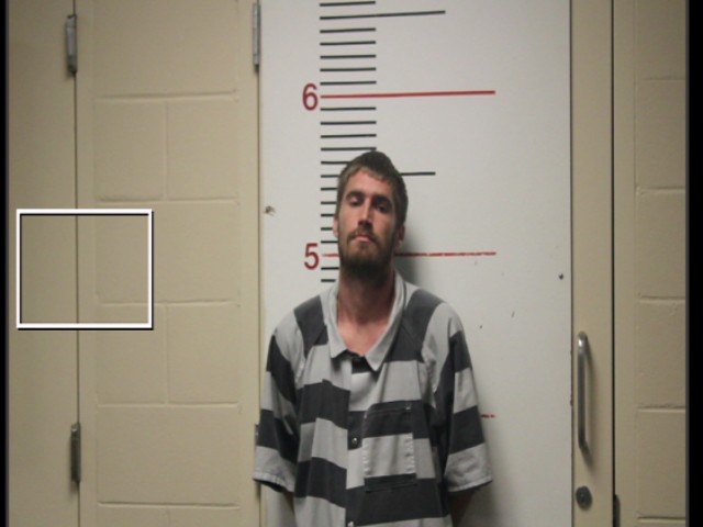 FEARS, ROBERT ETHAN booking photo