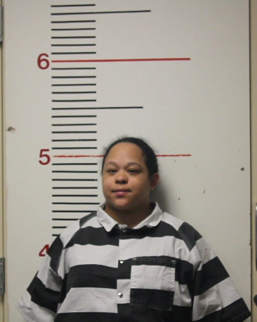 GUITY, LISBETH arrest record in Anderson County, Texas GUITY, LISBETH arrested in Anderson County, Texas mugshot