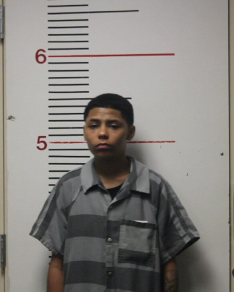 ALEXANDER, BROOKLINN SHILEY arrested in Anderson County, Texas mugshot