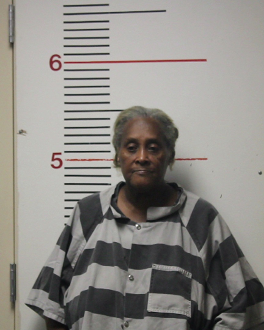 ROBINSON, ANNETTE LOUISE booking photo