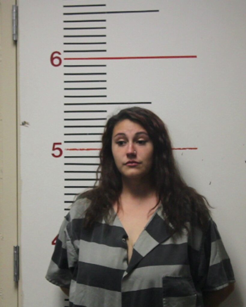 BROWN, KAITLIN IRENE arrest record in Anderson County, Texas BROWN, KAITLIN IRENE arrested in Anderson County, Texas mugshot