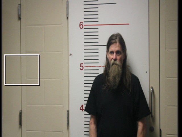 STEPHENS, MICHEAL SHANNON booking photo