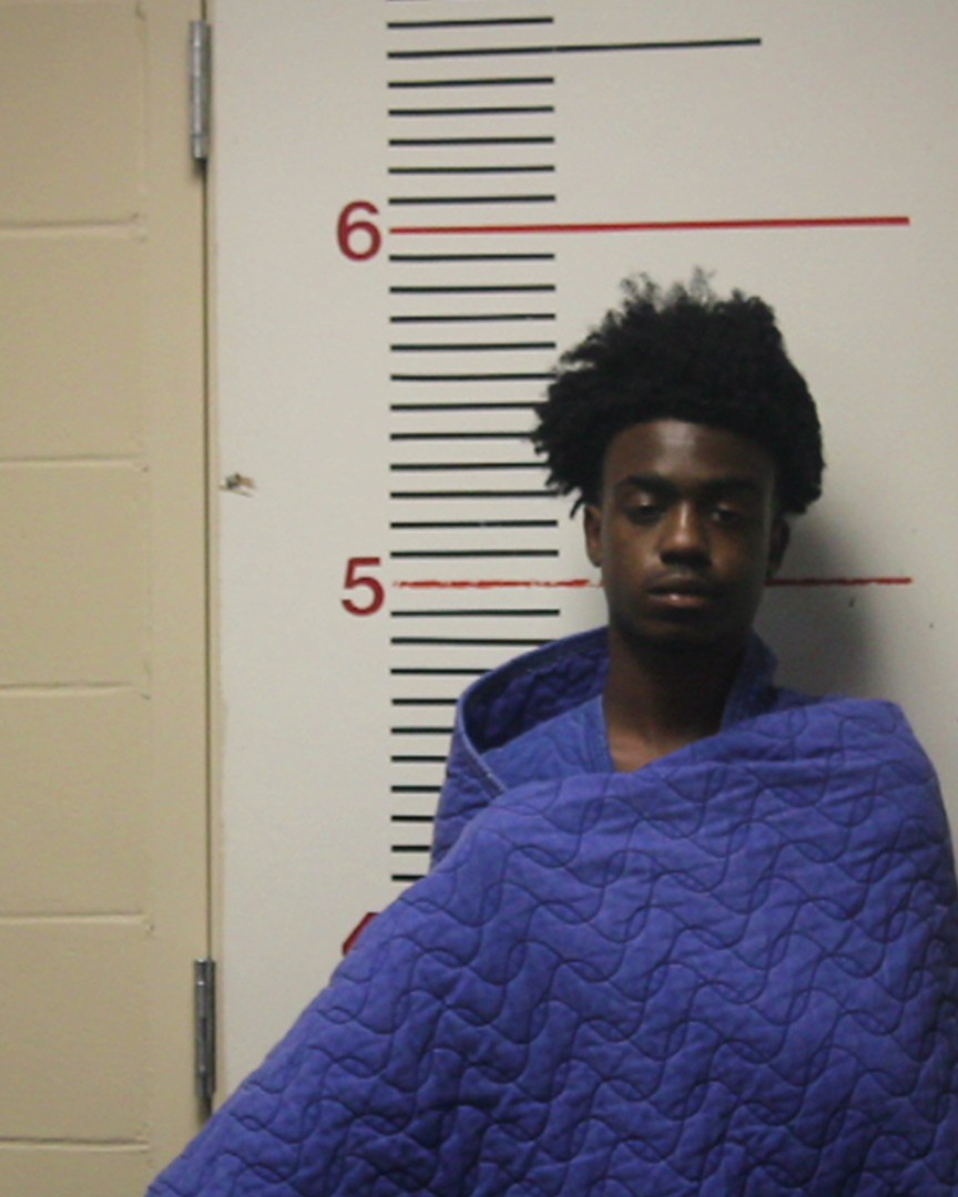 ROBERTS, DAVID LEE, Jr. booking photo