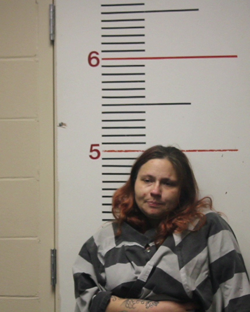 COOK, KAYLA LYNN booking photo