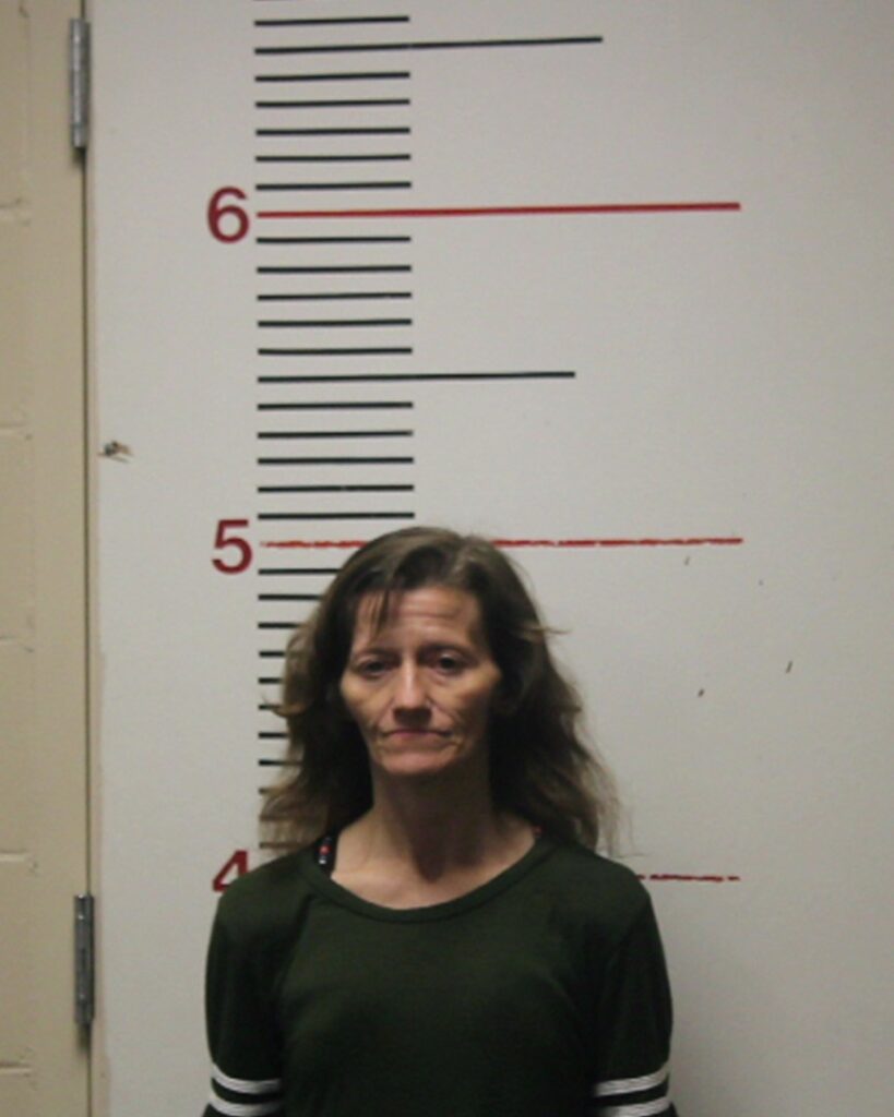 ELMORE, BETTY JANE ROSE arrest record in Anderson County, Texas ELMORE, BETTY JANE ROSE arrested in Anderson County, Texas mugshot