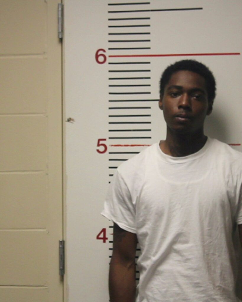 BROWN, ISAIAH LAQUAN arrested in Anderson County, Texas mugshot