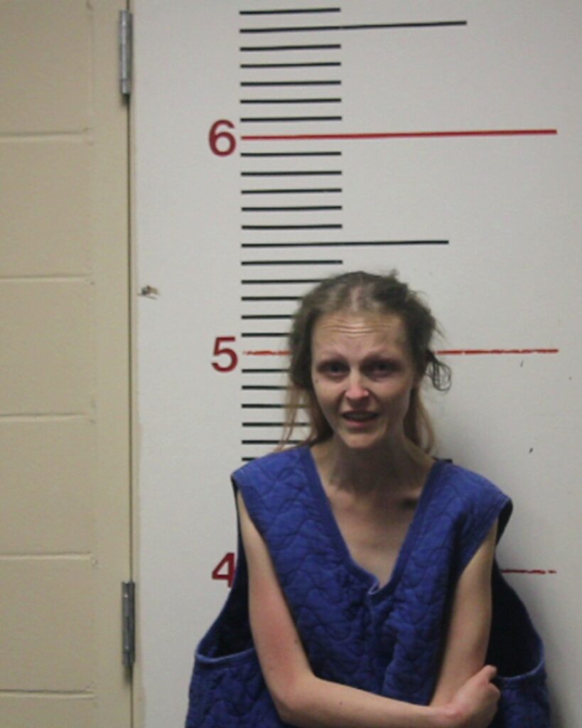 PAUTARD, DESTINY NEWSOME arrested in Anderson County, Texas mugshot