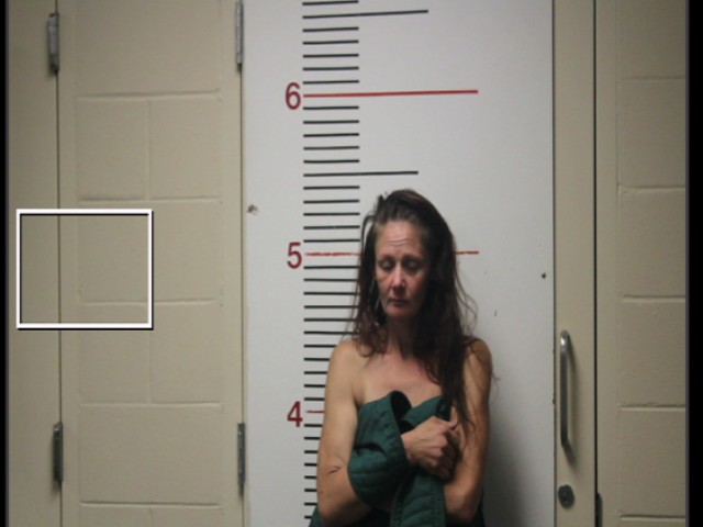 MCNEELEY, JACKLYN LEIGH booking photo
