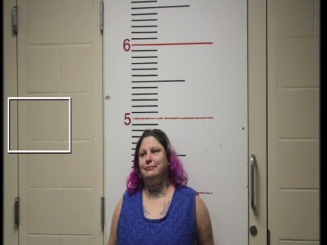 OWENS, ALICIA MARIE booking photo