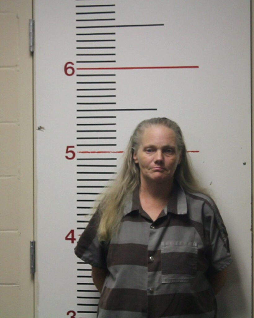 CHANDLER, DAWN MARIE arrest record in Anderson County, Texas CHANDLER, DAWN MARIE arrested in Anderson County, Texas mugshot