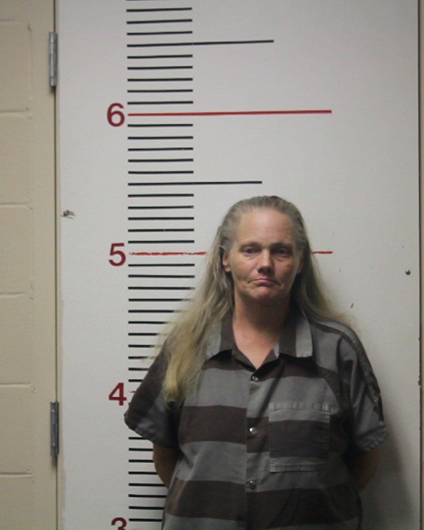 CHANDLER, DAWN MARIE booking photo