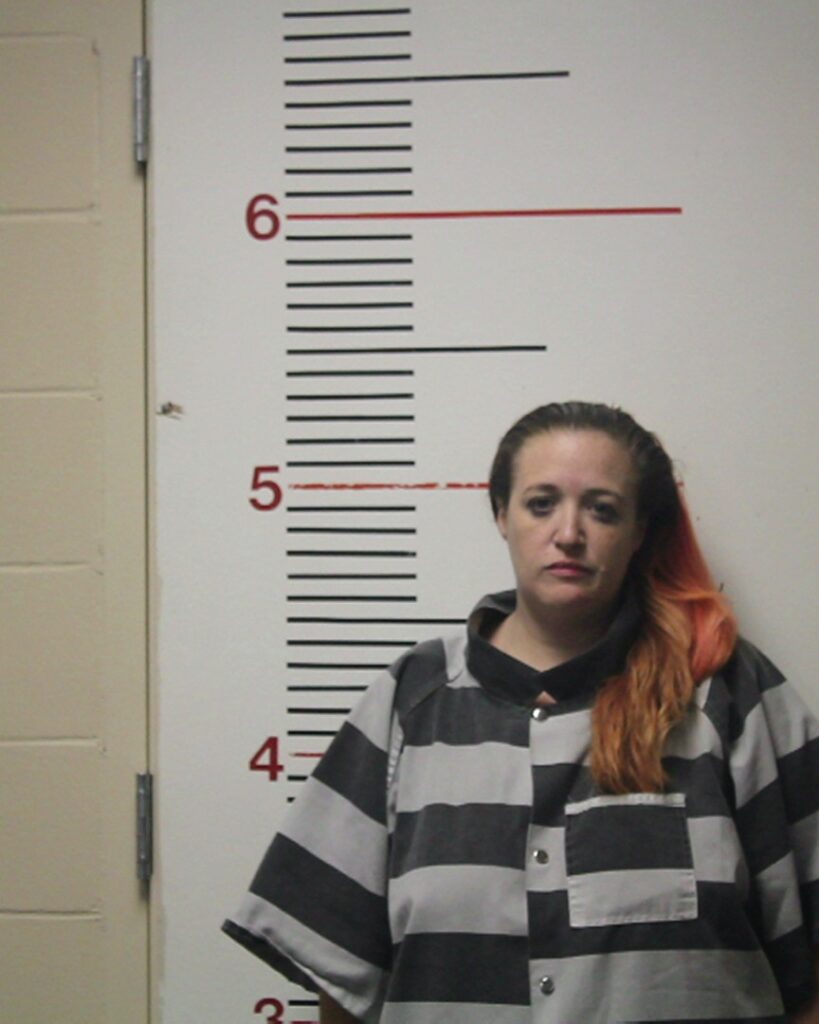 VERNON, LEAH ANN arrested in Anderson County, Texas mugshot