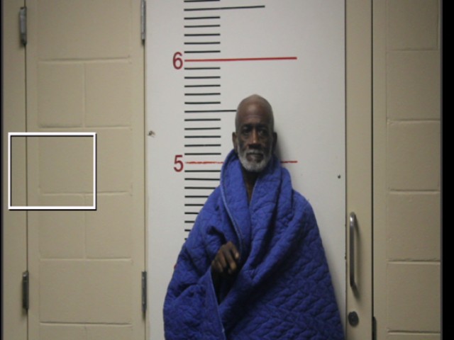 GIBSON, BOBBY DARYL, Jr. booking photo