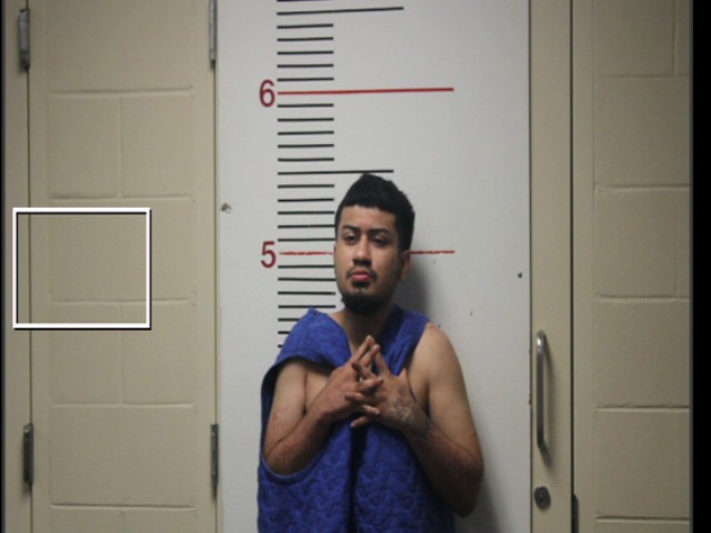 LEYVA, FRANCISCO HUGO booking photo