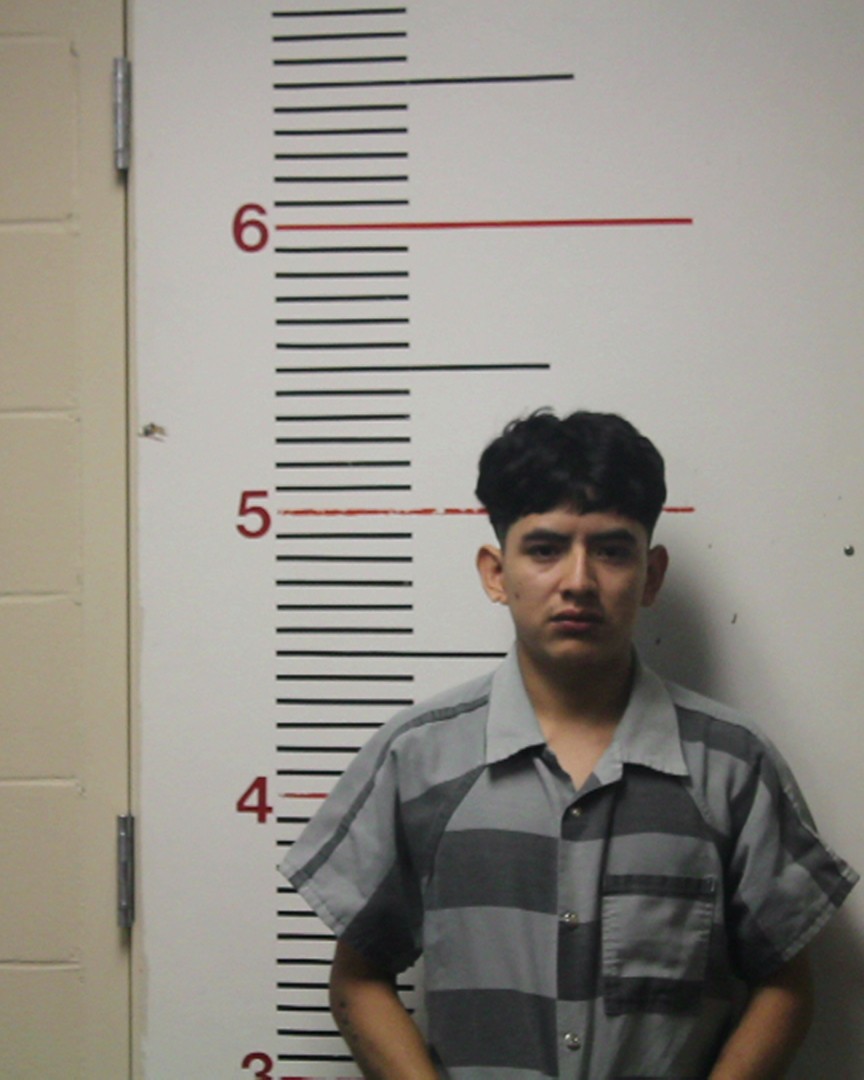 DE PAZ DE PAZ, MELVIN booking photo