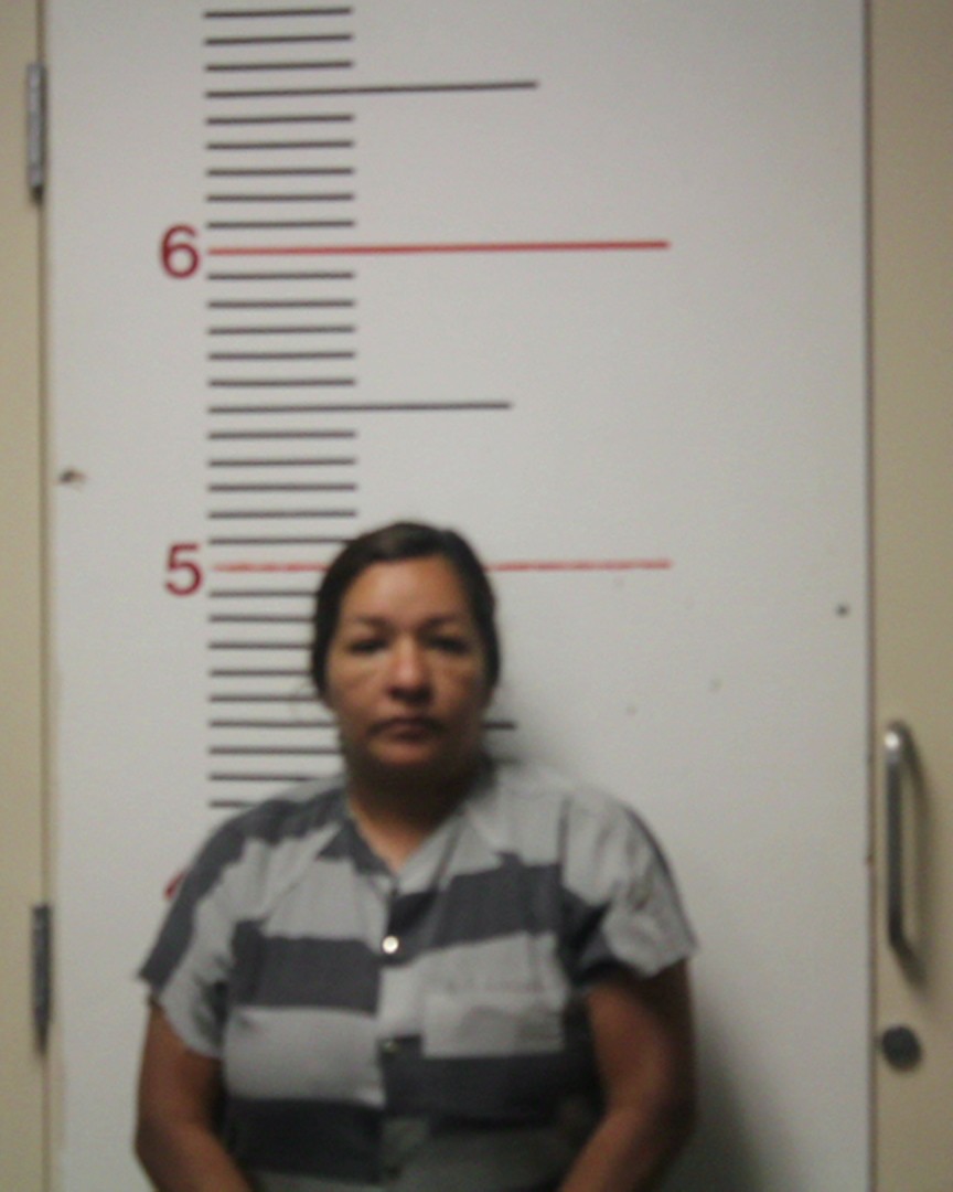 BENAVIDES, GABRIELLA RANGEL booking photo