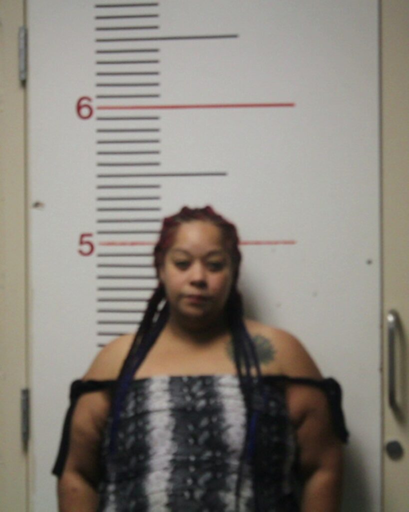 POTTS, SERINA BELLE arrest record in Anderson County, Texas POTTS, SERINA BELLE arrested in Anderson County, Texas mugshot